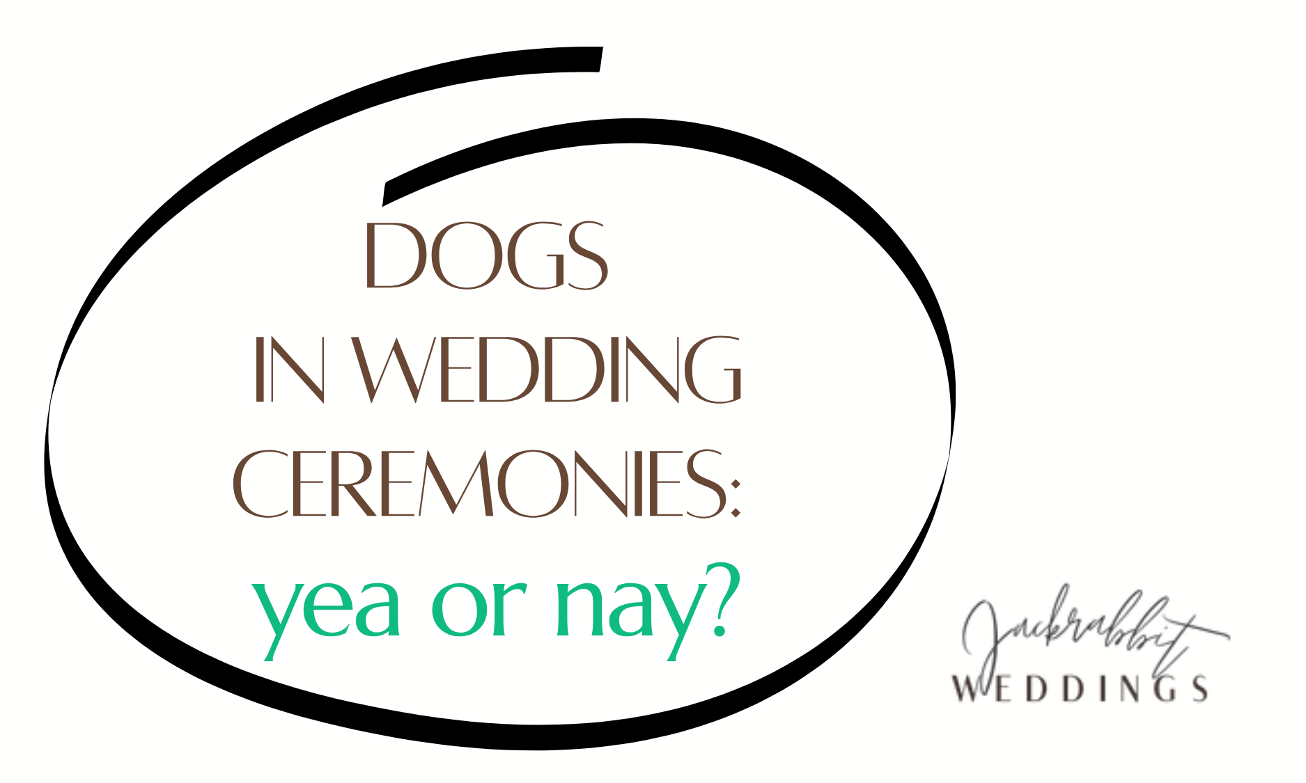 Quick Post: Are Dogs in Weddings Sweet… or Sometimes Too Much?