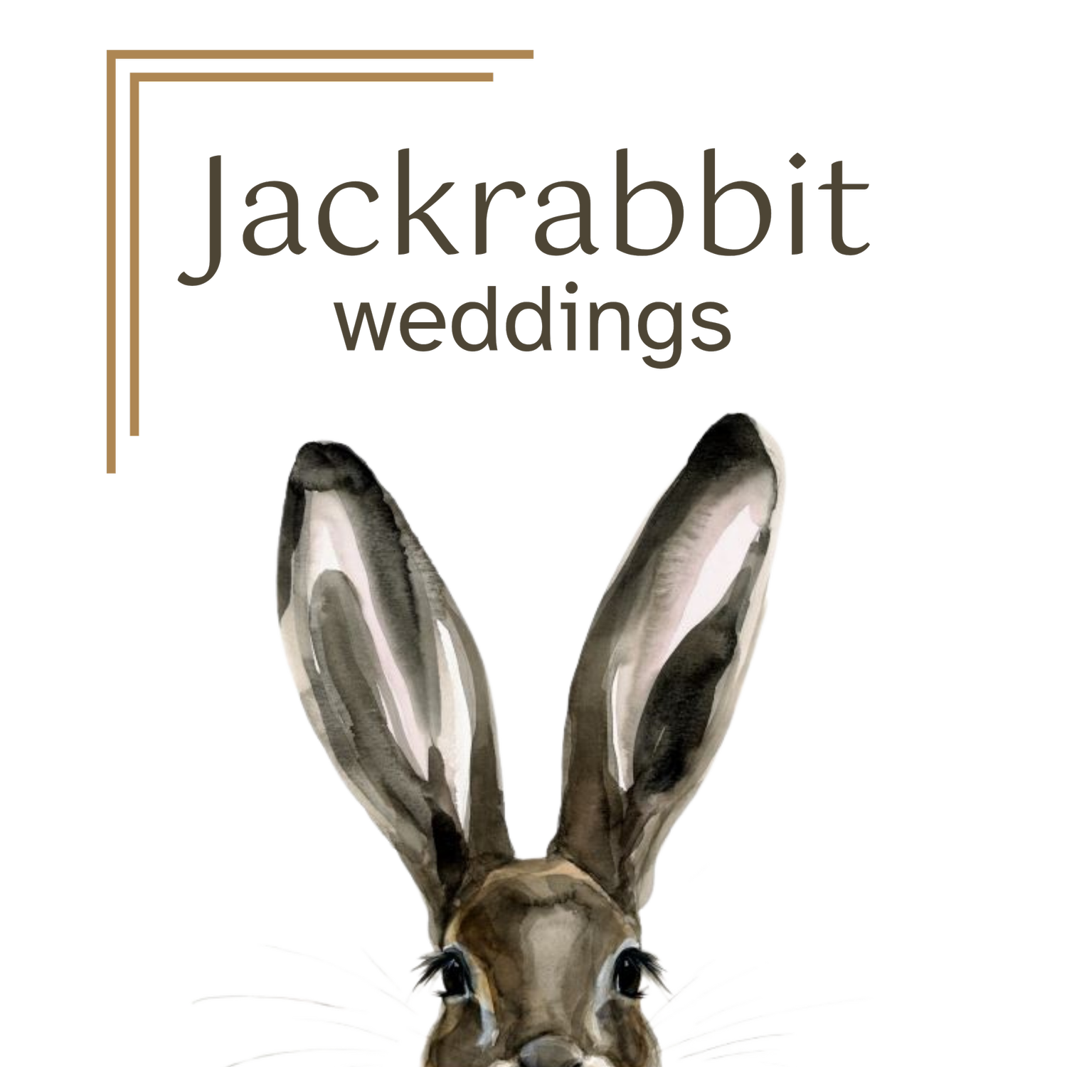 Jackrabbit Weddings