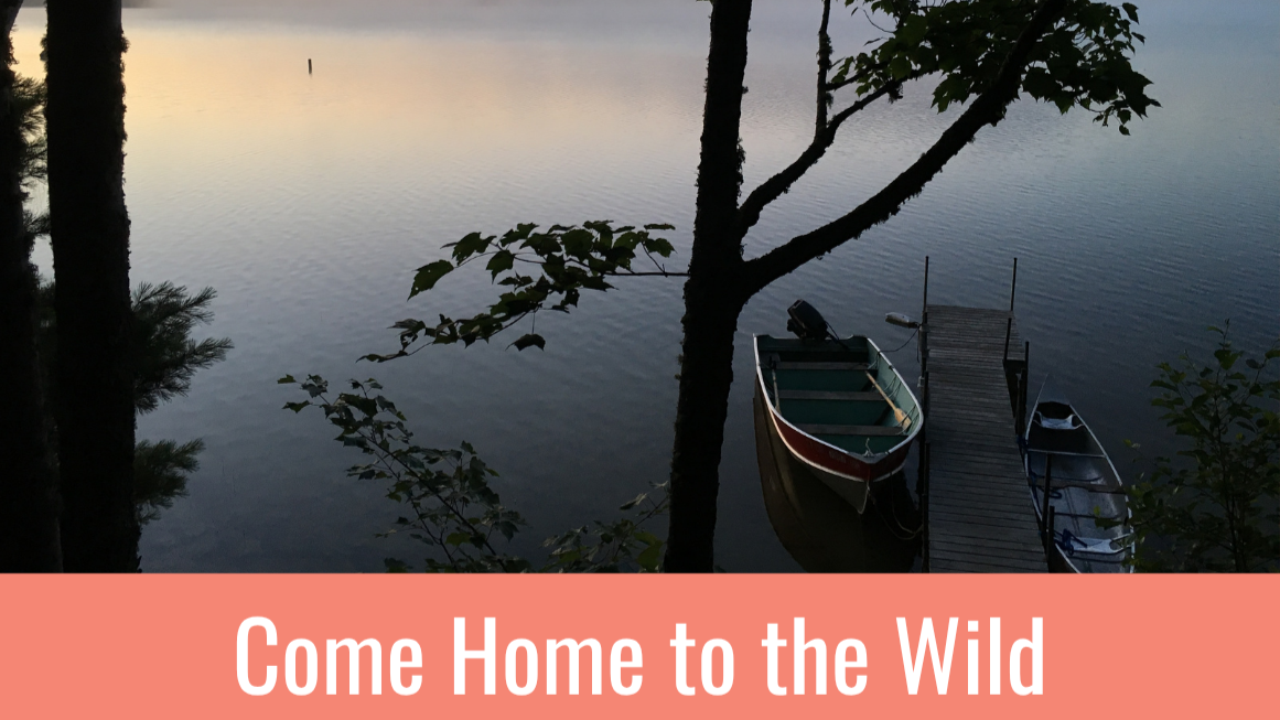 Come home to the wild - my new e-book is here!