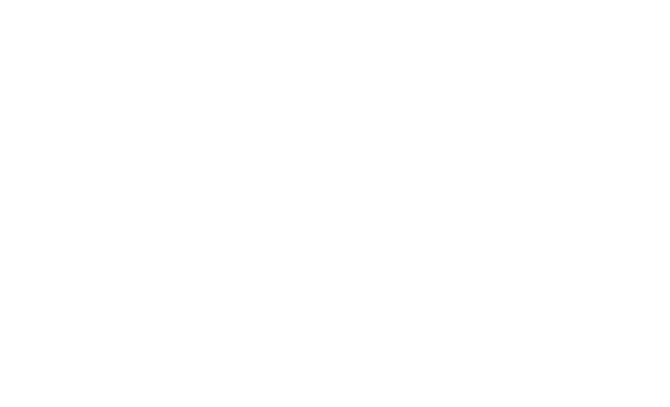 Boys and Girls of Laurens and Johnsons County