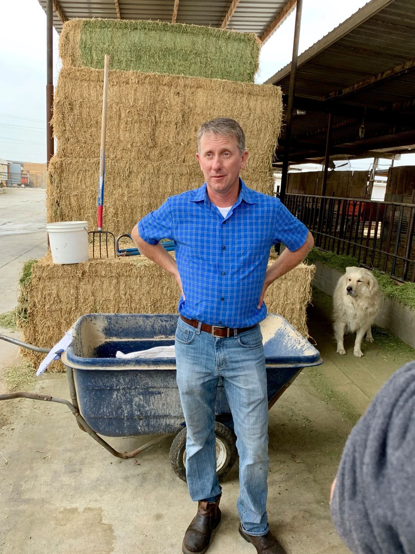 About — Drake Family Farms