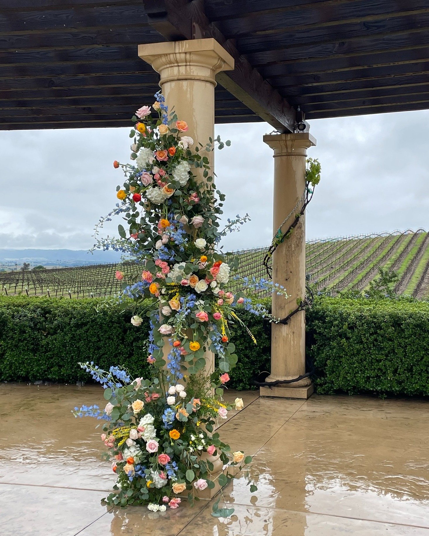 🌈April showers and rainbow flowers. 🌸

A sneak peek from Jessica and Stephen's bright and colorful wedding. 

Beauty: @tohaveandtoholdbridalsalon
Catering:  @popolo_catering
Dessert: @justbakedpaso
Entertainment: @ccpremierentertainment
Florals: @l