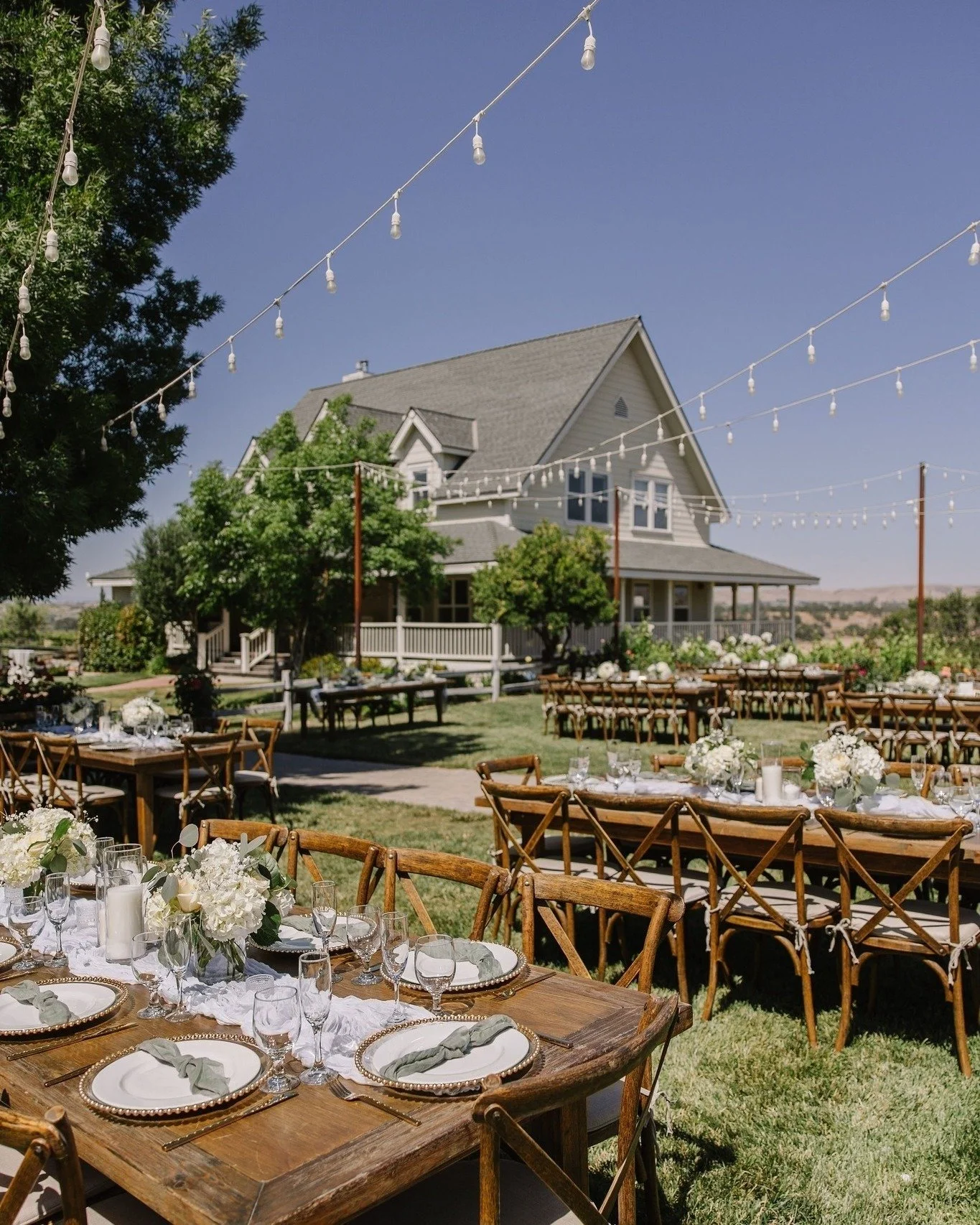 White &amp; sage set the stage for Kristina &amp; Bradley's picture perfect wedding reception. Guests were greeted with a stylish picture frame collage seating chart.  Elegant gold pearl plates and charming white florals decorated the tables where gu