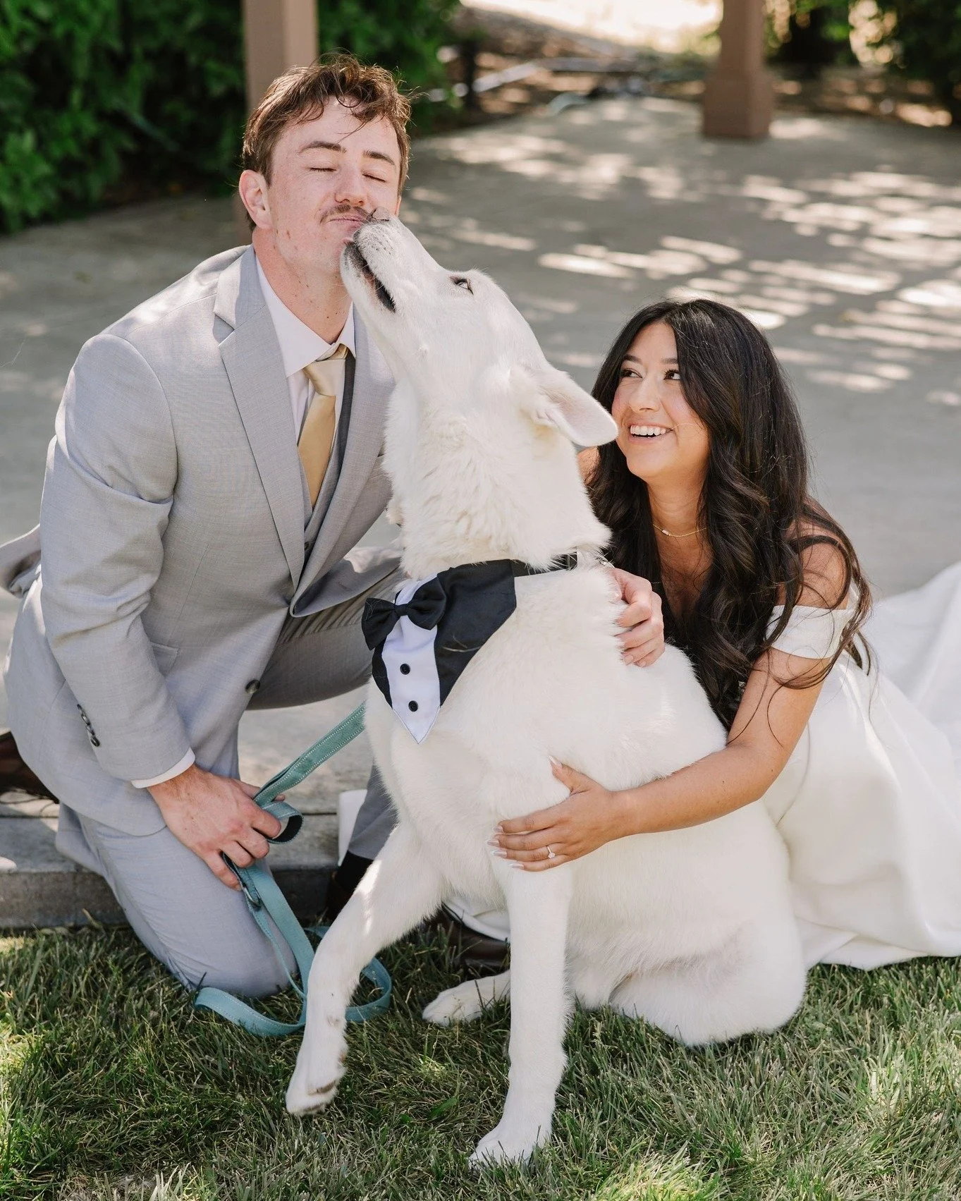 To all our canine pals: Happy National Dog Day! 🐶