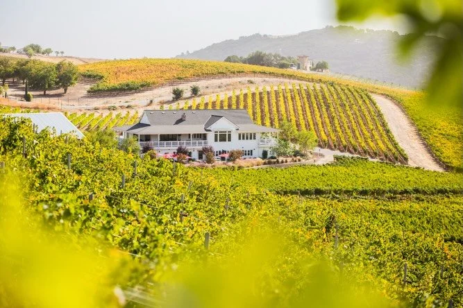 It is an honor and privilege to partner with this gorgeous property &amp; their amazing team!
Looking forward to creating beautiful events @pfvineyard !!!
🩷 Kristi Dibbern &amp; The Kreative Details Team