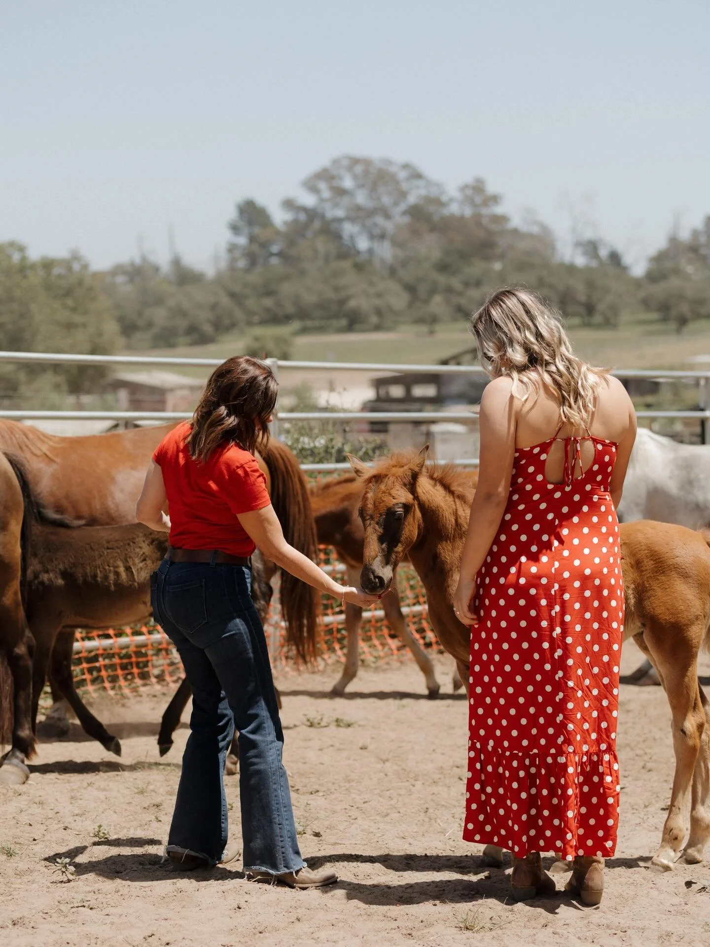 Kreative Details by KD is partnering with HHTH to bring you a FUN evening of dinner, drinks, dancing, and good vibes at Thousand Hills Ranch! 🤍🐴✨
 
This isn&rsquo;t your typical fundraiser, it&rsquo;s a night out to gather with friends, enjoy delic