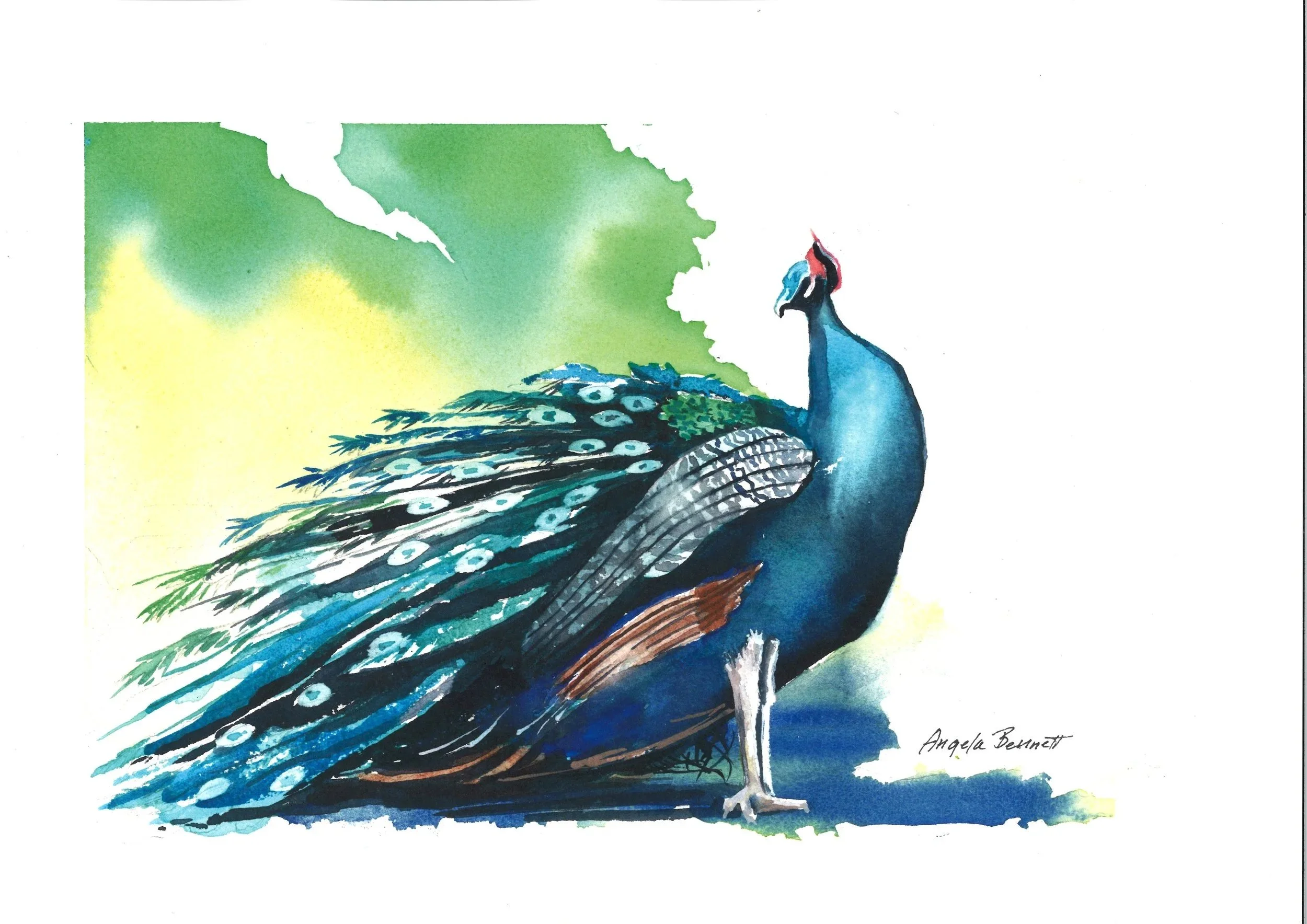 If you've got it, flaunt it.