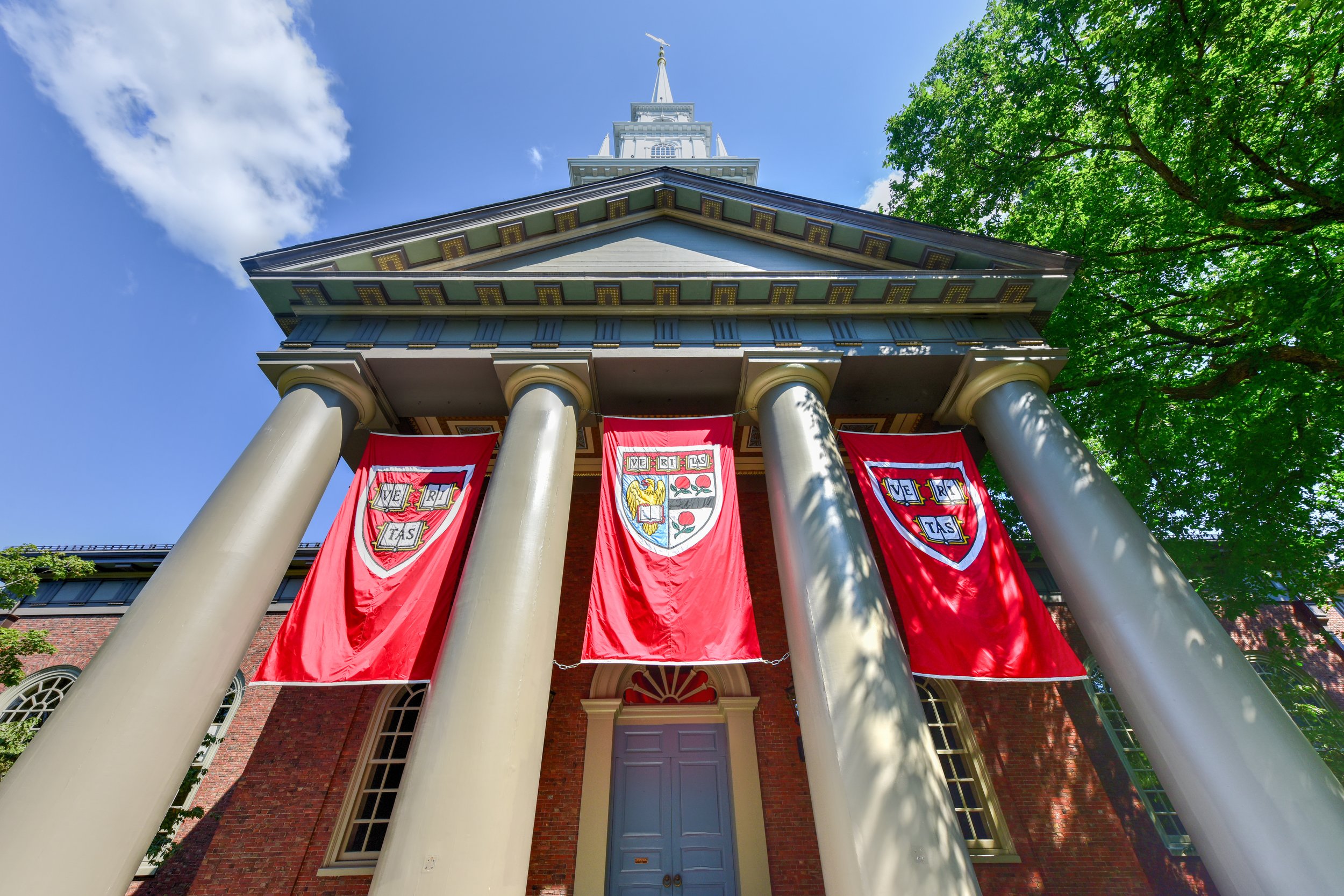 How to Approach Volunteering for College Applications
