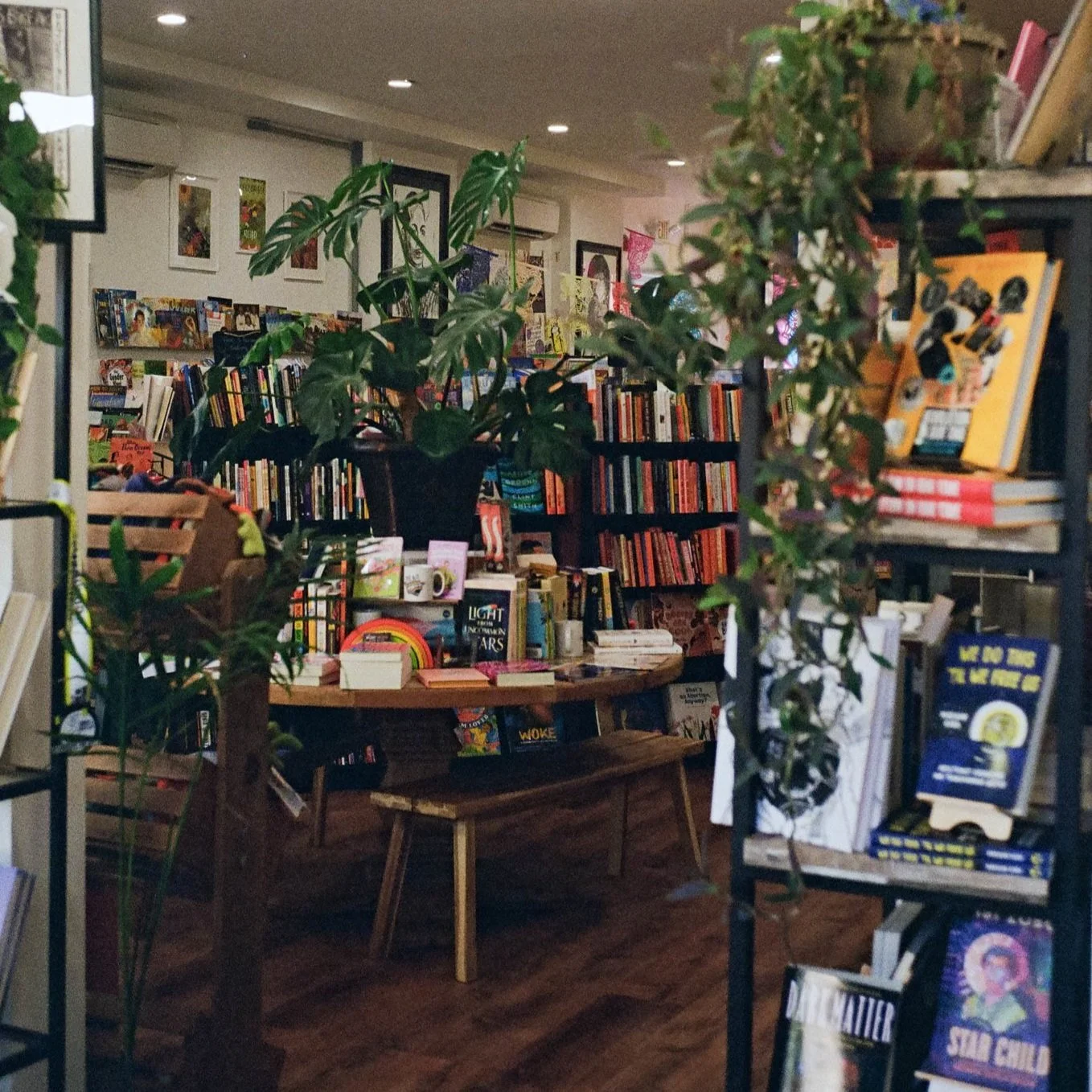 A Summer Reading List for Curious Minds