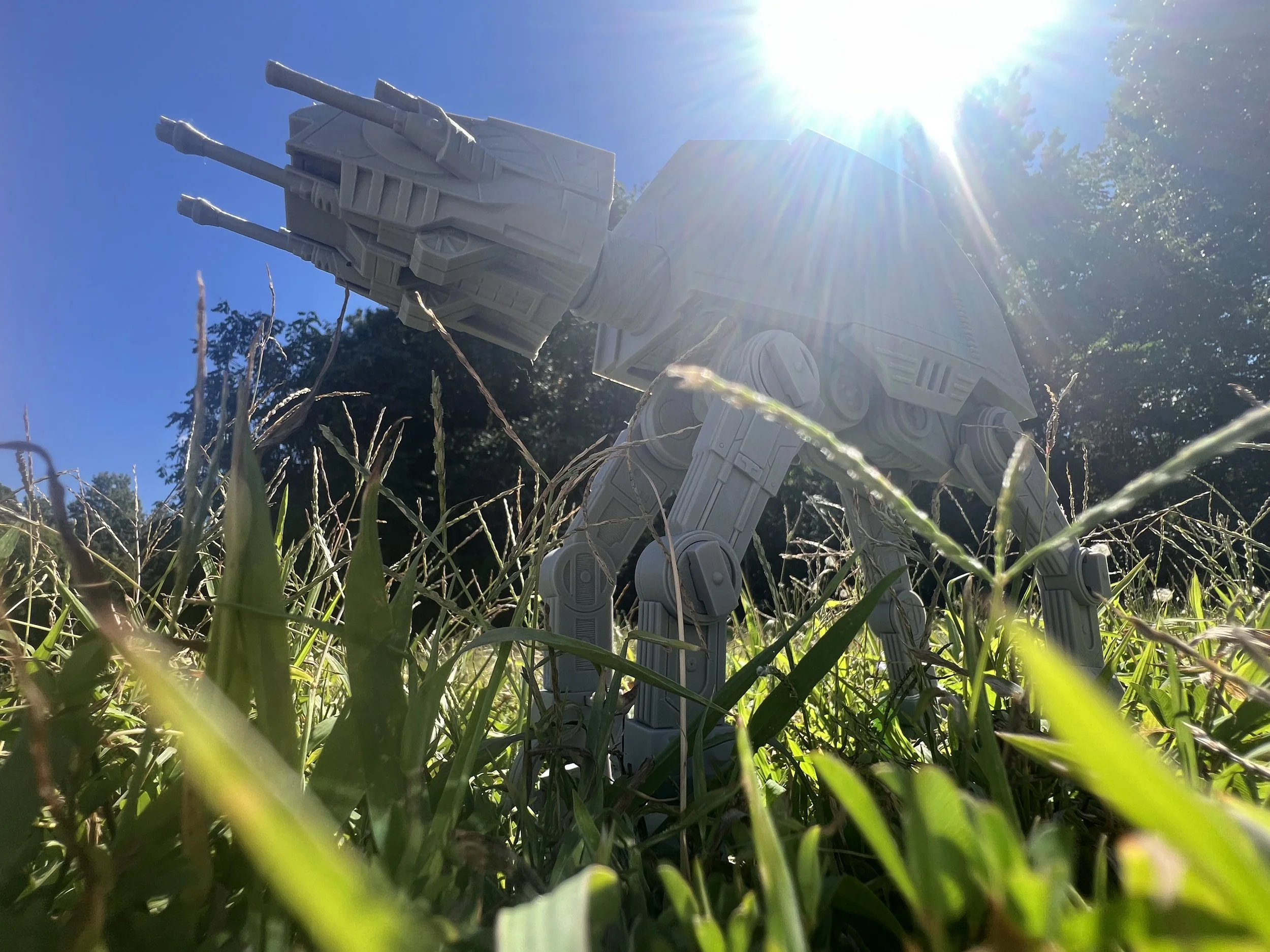 IMG_3033.jpeg