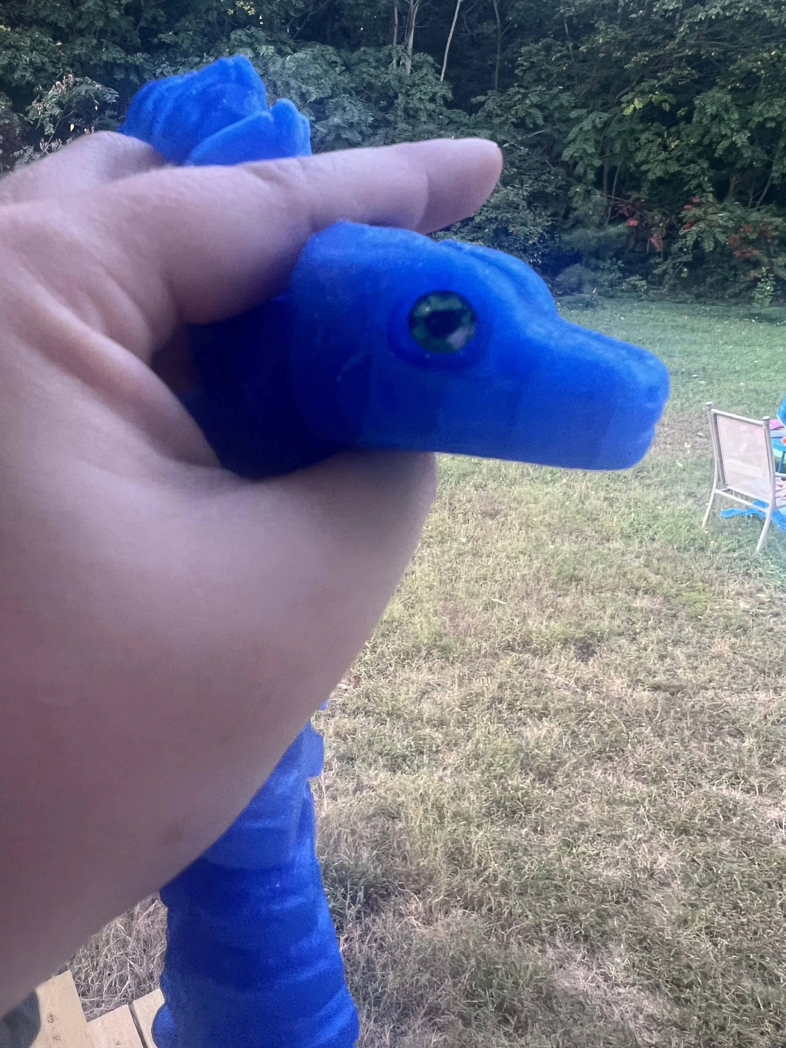 IMG_2932.jpeg