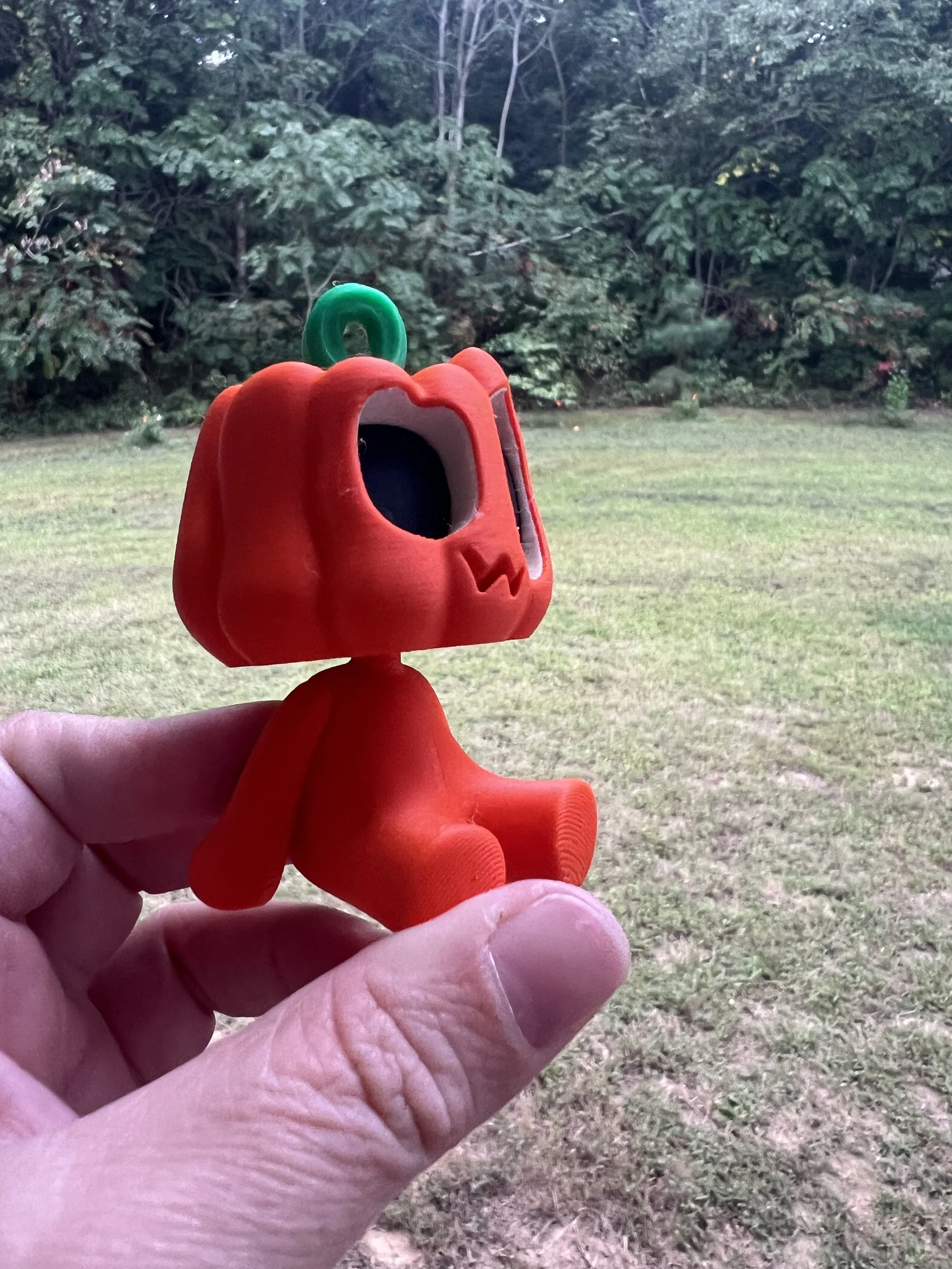 IMG_3125.jpeg