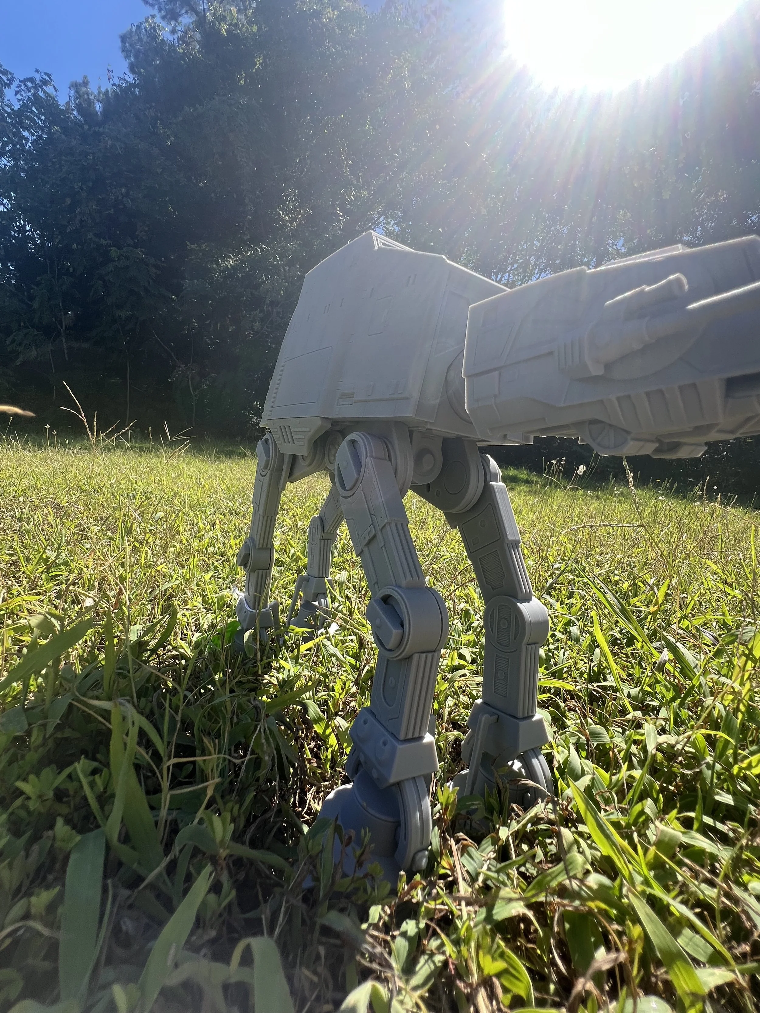 IMG_3036.jpeg