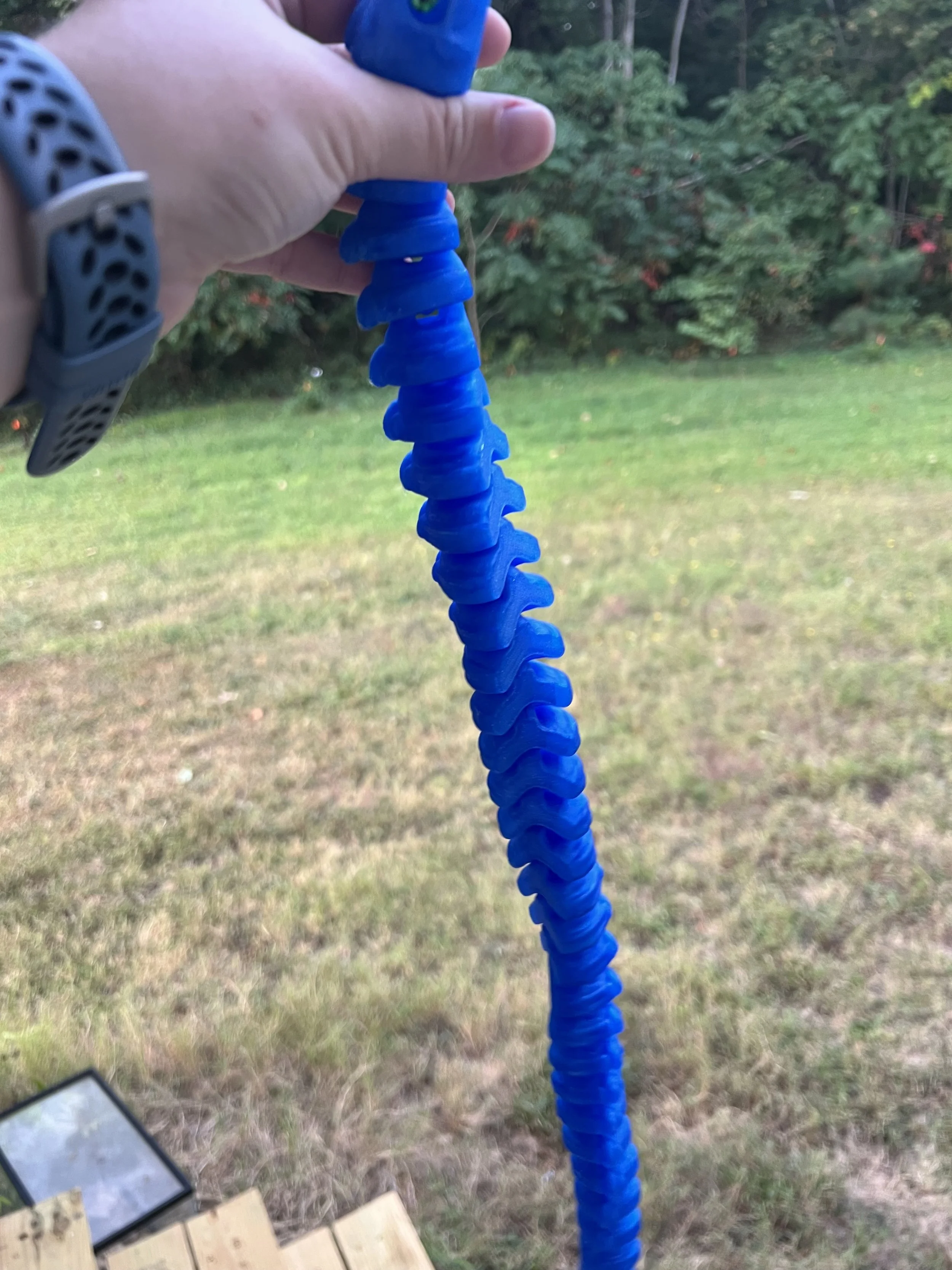 IMG_2934.jpeg