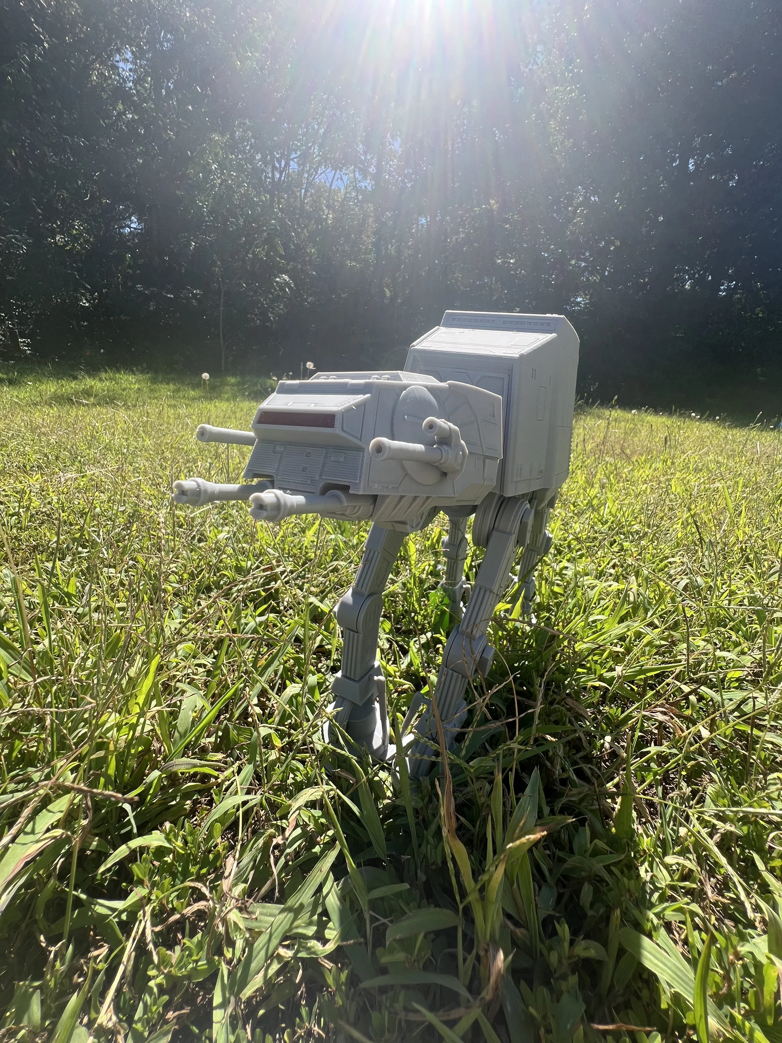IMG_3026.jpeg