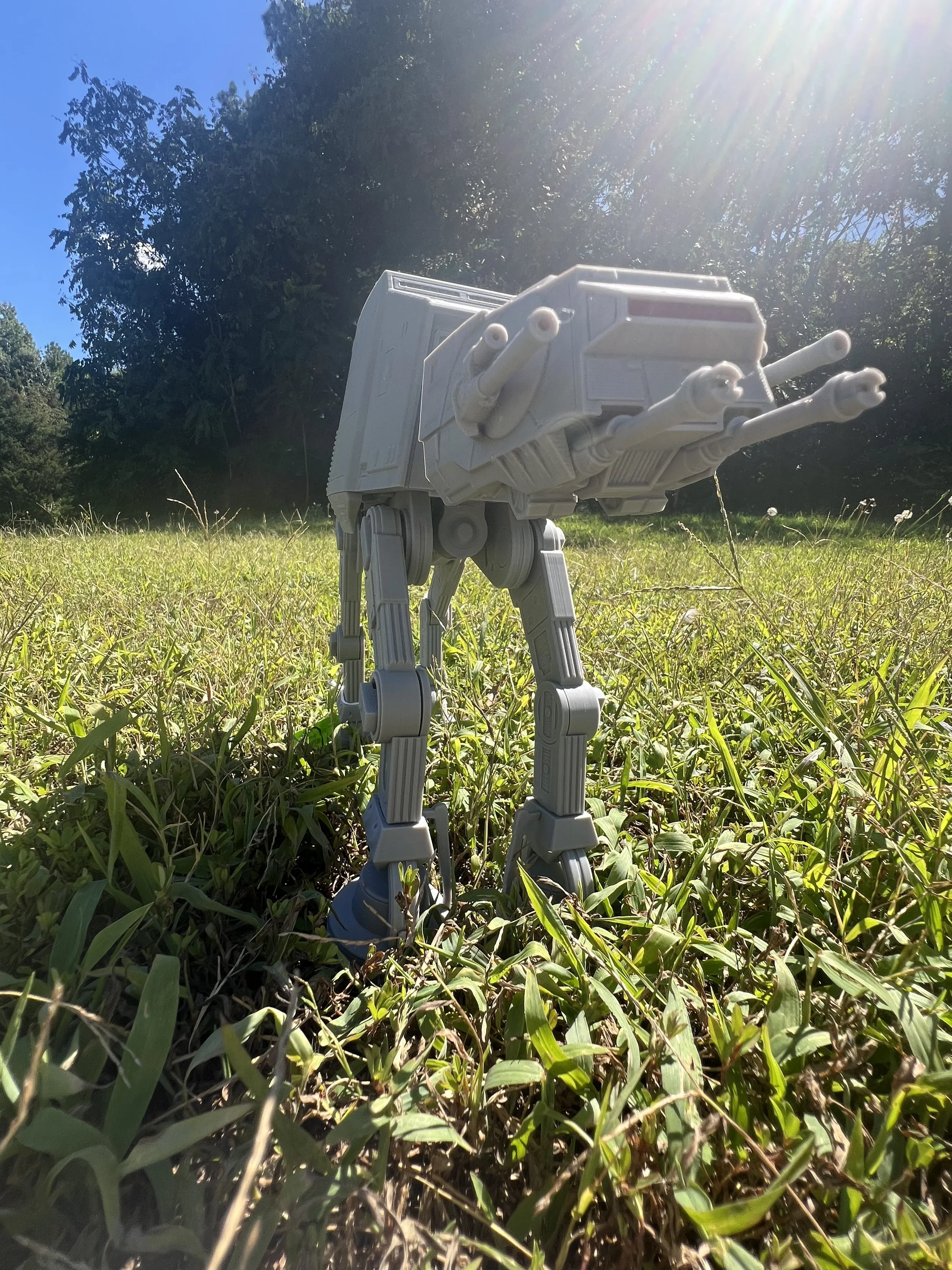 IMG_3037.jpeg