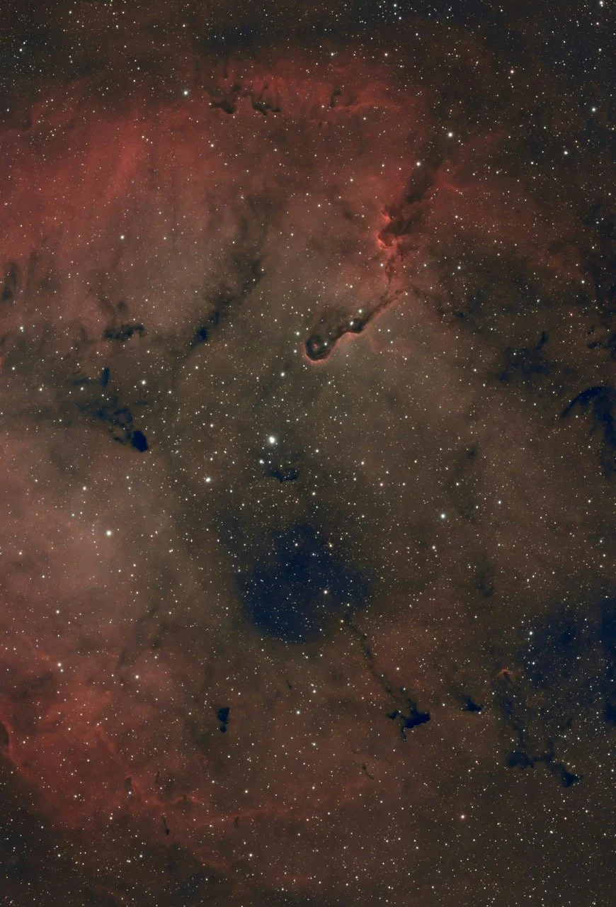 What to Expect When You Hire a Web Designer: A Client's Guide