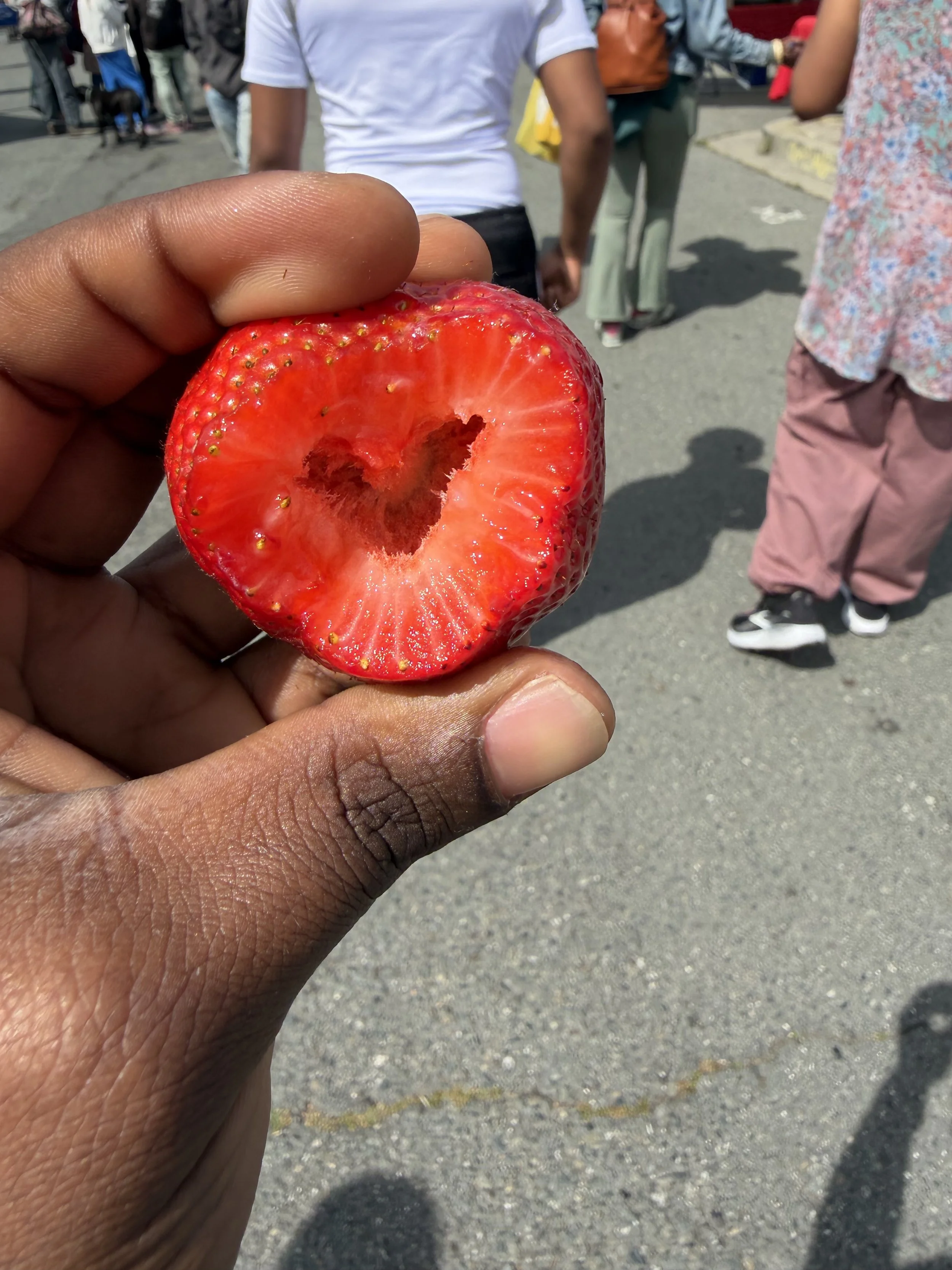IMG_0229.jpeg