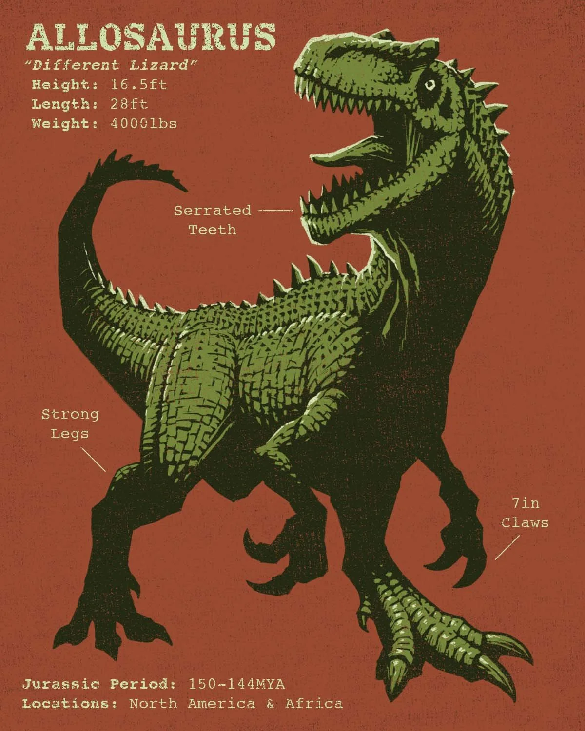 Allosaurus_Highlight.jpg