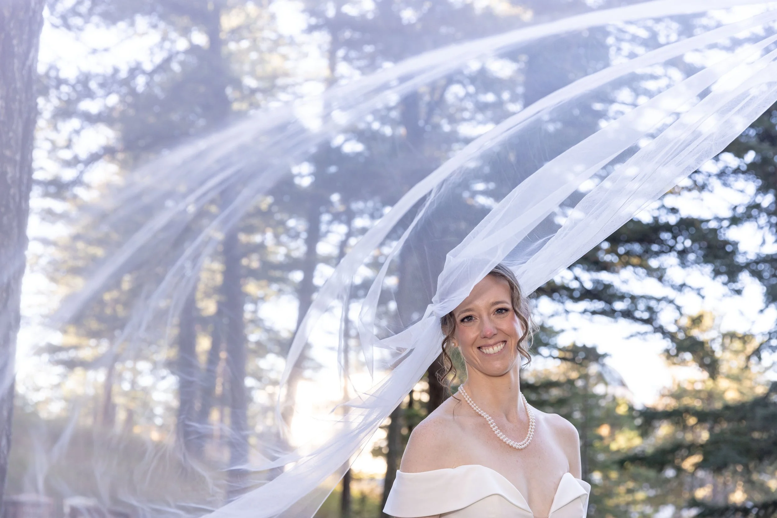 352 Michelle Evan 101725 Wedding Berg Berg Photography_1.jpg