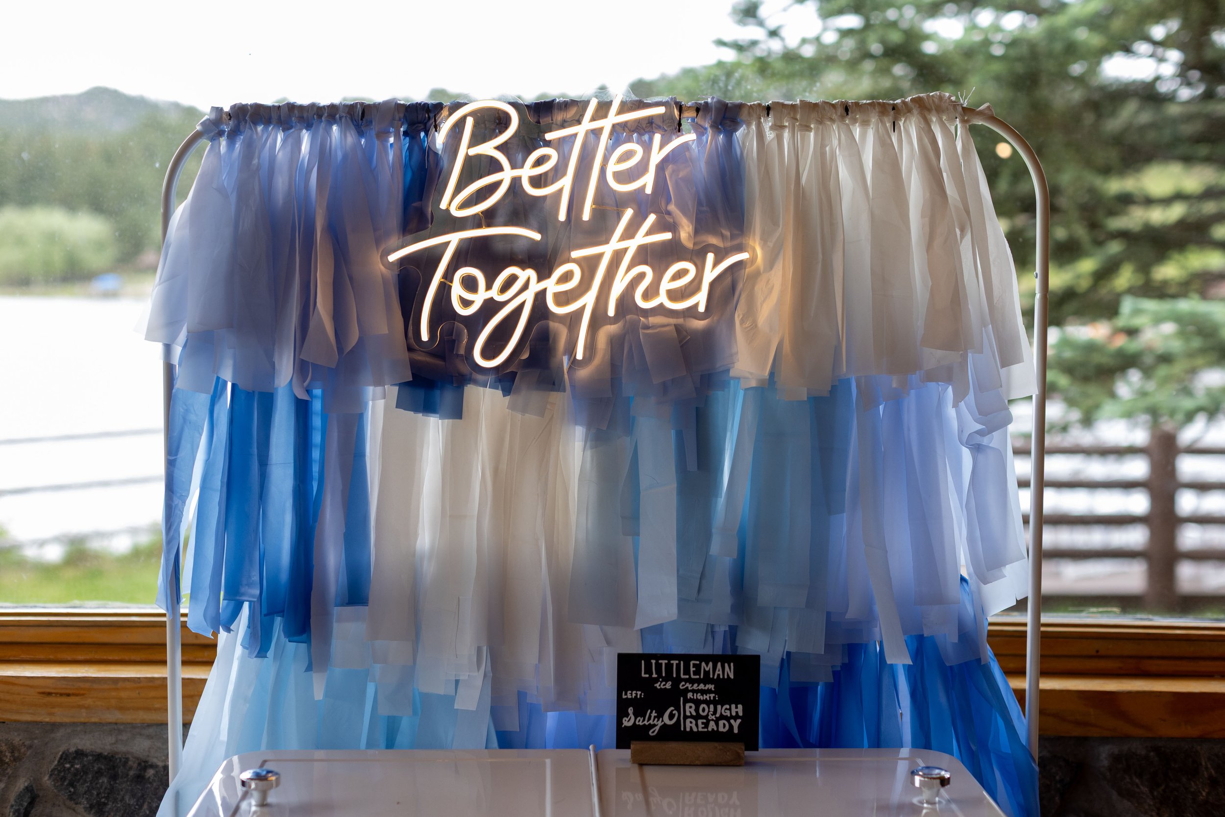 252 Brinna Stephen Wedding Berg Berg Photography.jpg