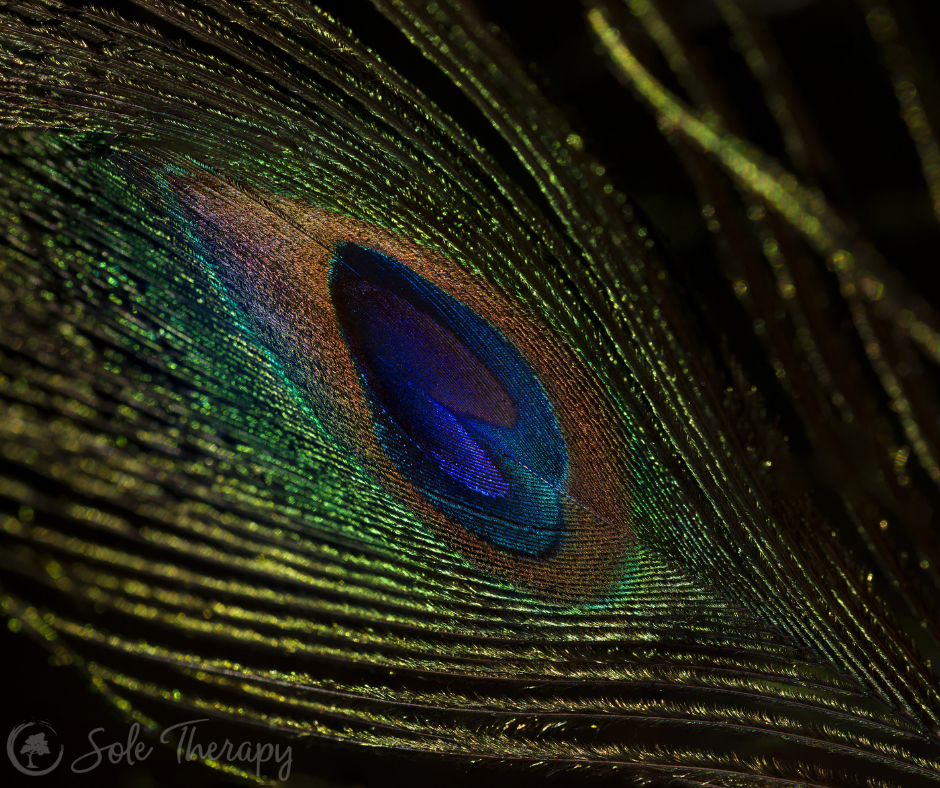 Seeing in macro