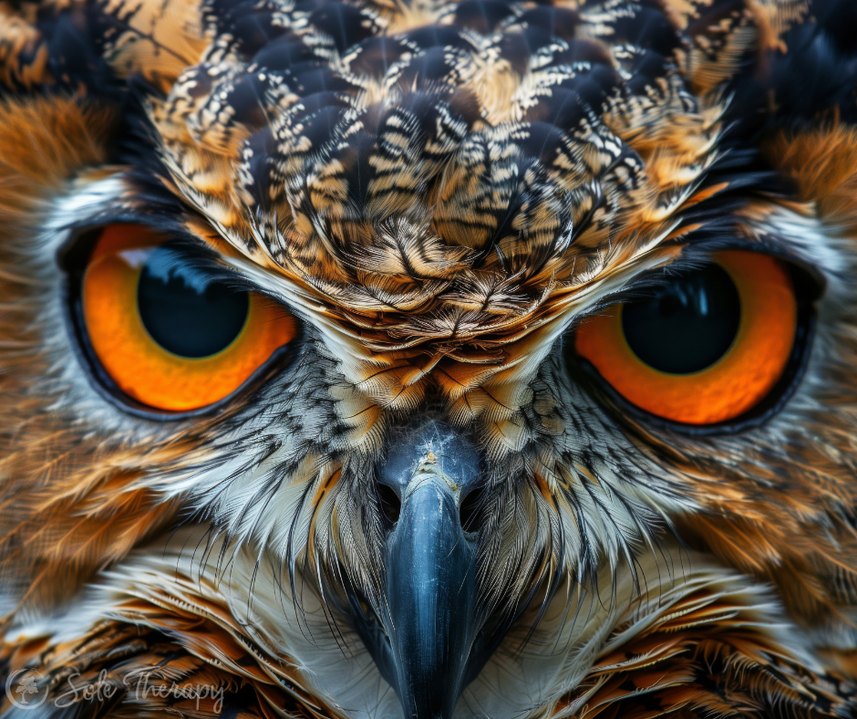 Two-Eyed Seeing