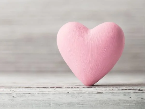 Learning to Protect My Big Heart