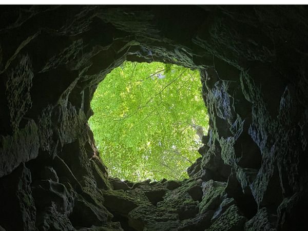 There Once was a Mole