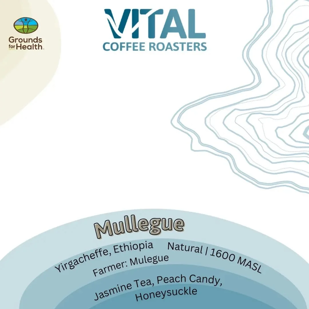 Origin: Ethiopia
Region: Yirgacheffe
Producer/Farmer: Mullegue
Roast Level: Light - Medium
Process: Natural
Varietal: Heirloom
Elevation: 1600 Masl
Tastes Like: Jasmine Tea, Peach Candy, Honeysuckle

Located Within The Sidamo Region Of Ethiopia, Yirg