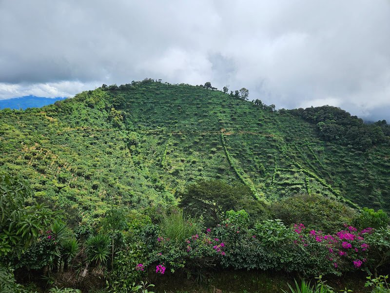 FInca Milan 2.jpg