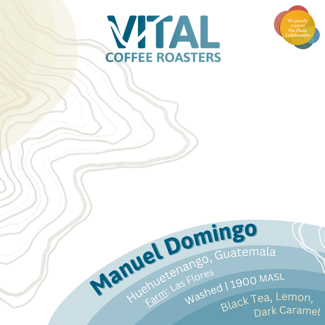 Manuel Domingo (1).png