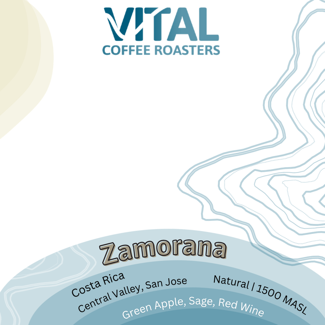 Coffee Label Media Posts (2).png