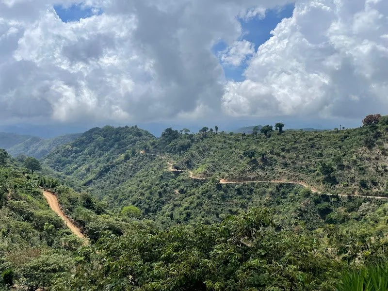 Finca Milan.jpg