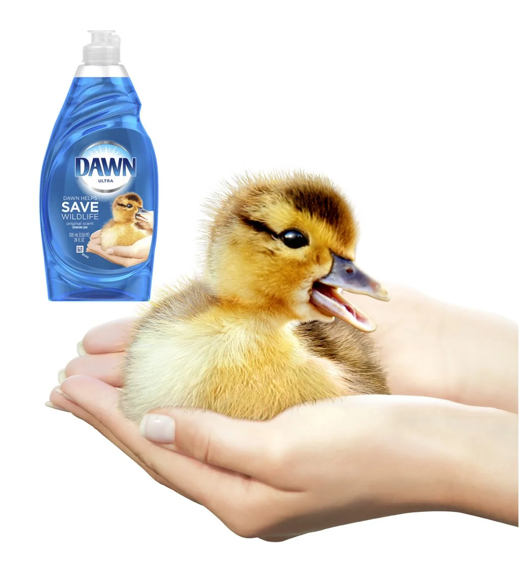 DAwnDishSoapDuck.jpg