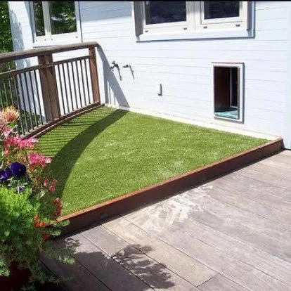 Dog-Friendly Backyard Ideas on a Budget