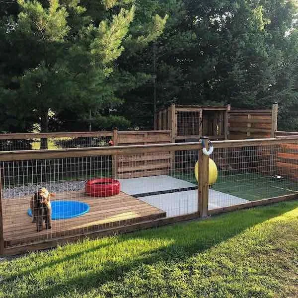 Dog Friendly Backyard Designs Cheap Dog Fence Idea Outlet