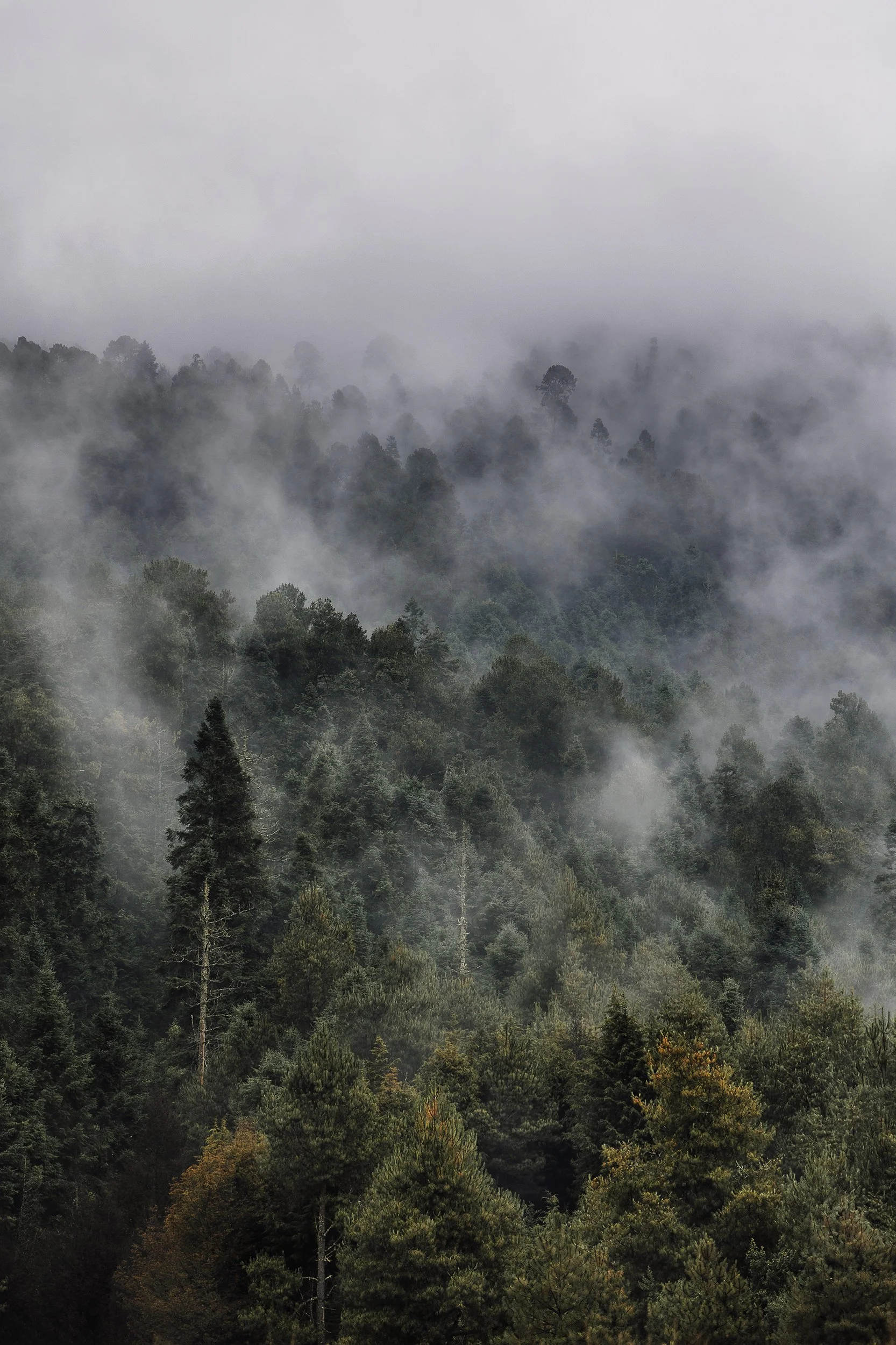 origenes-niebla-01-maria-perezgrovas.jpg.jpg
