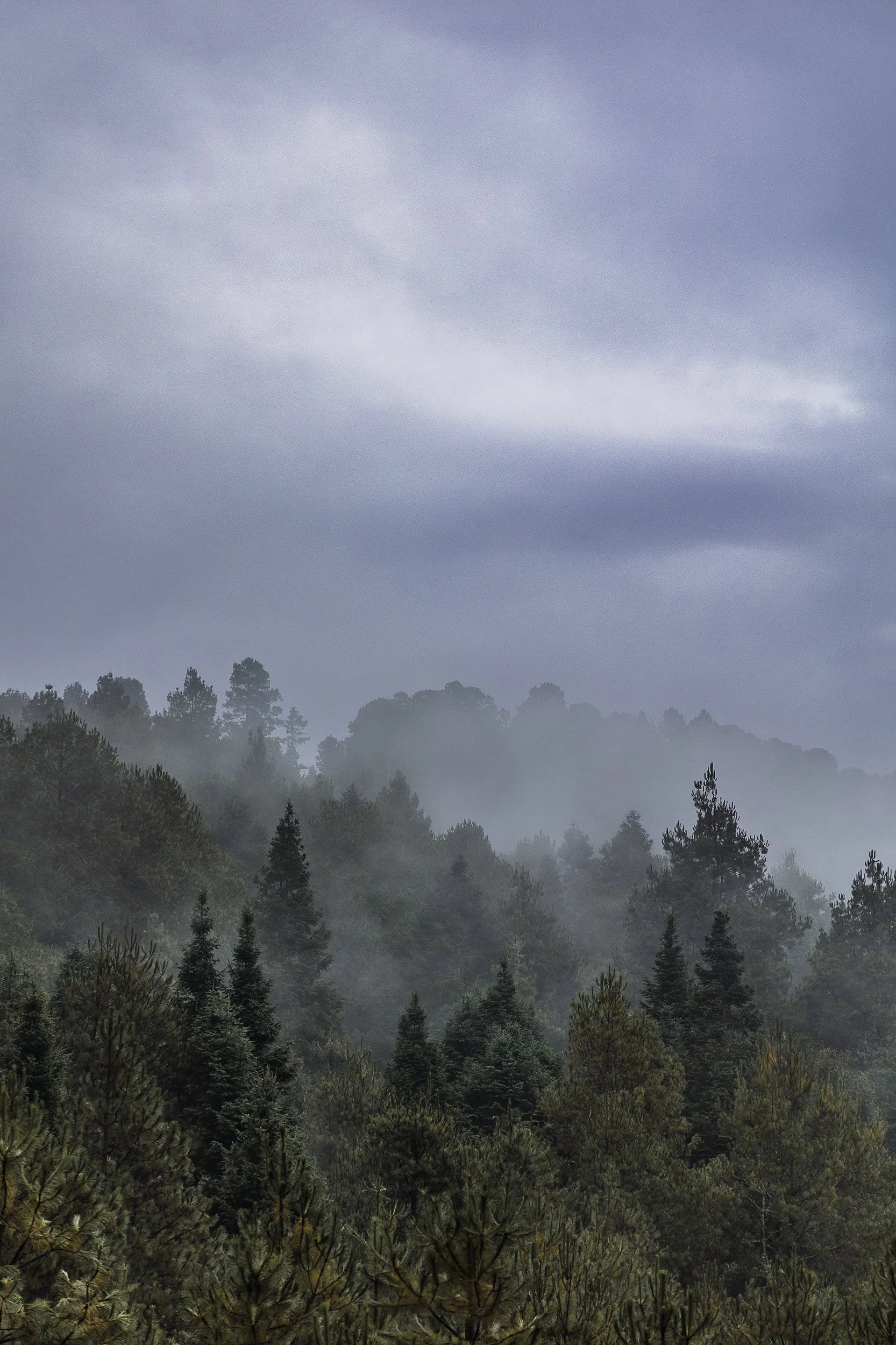 origenes-niebla-03-maria-perezgrovas.jpg.jpg