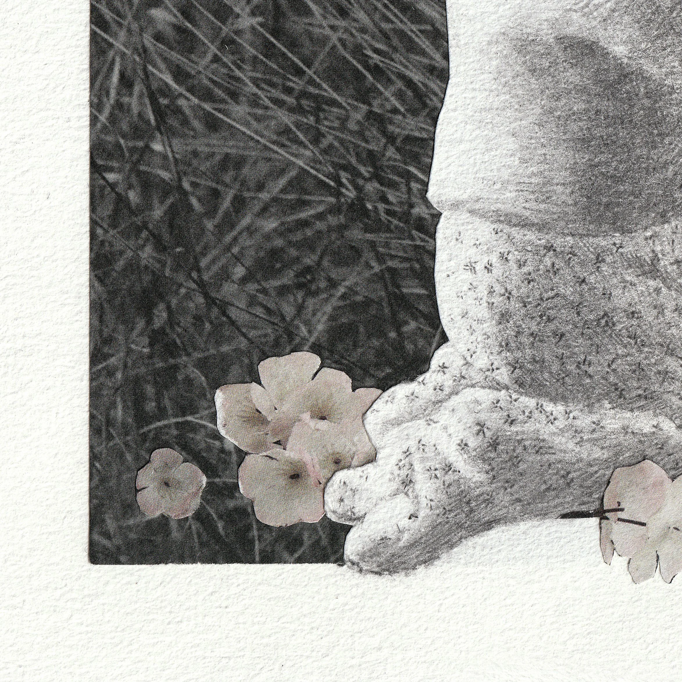 Julieta_detalle 2.jpg