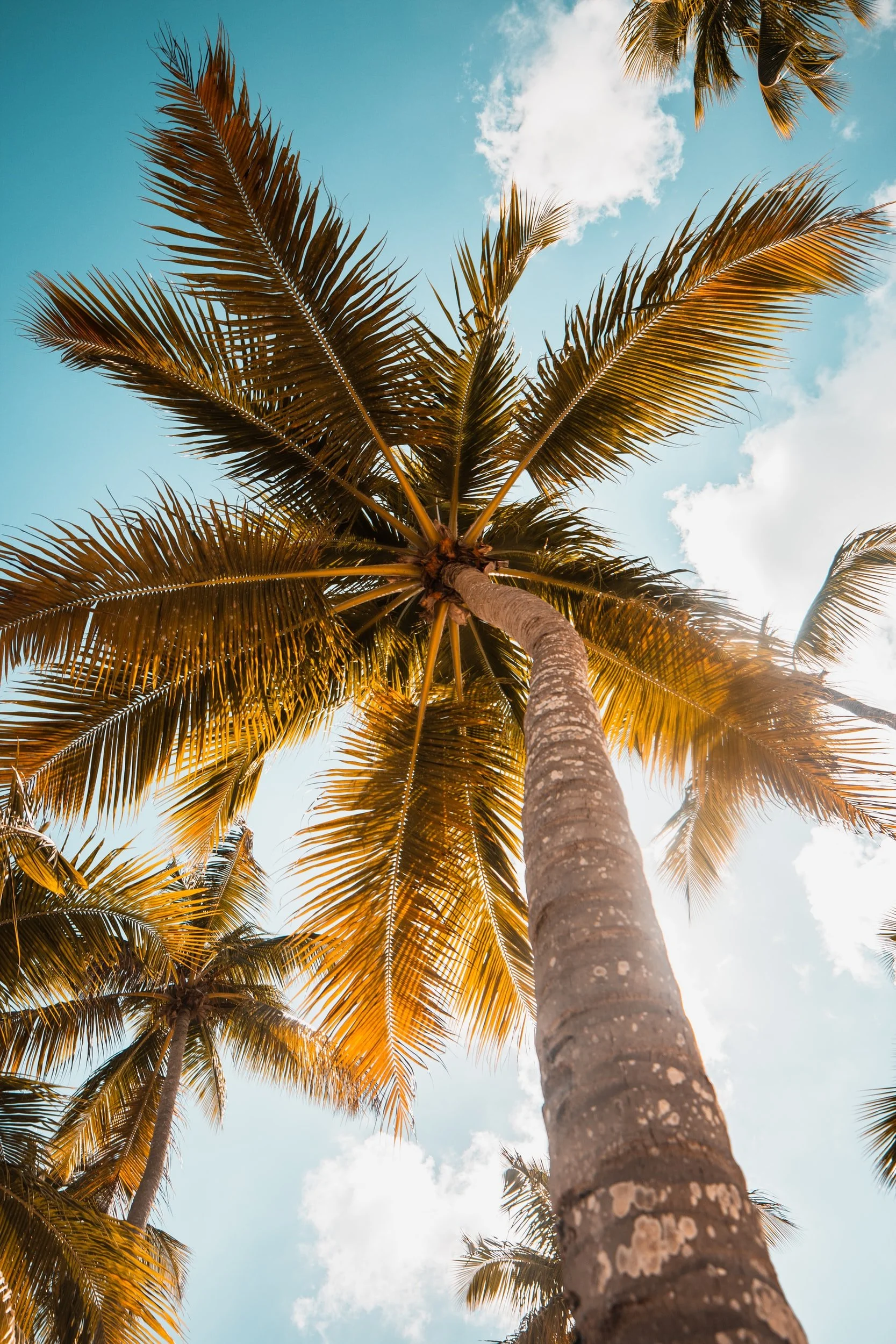 Barbados is home.