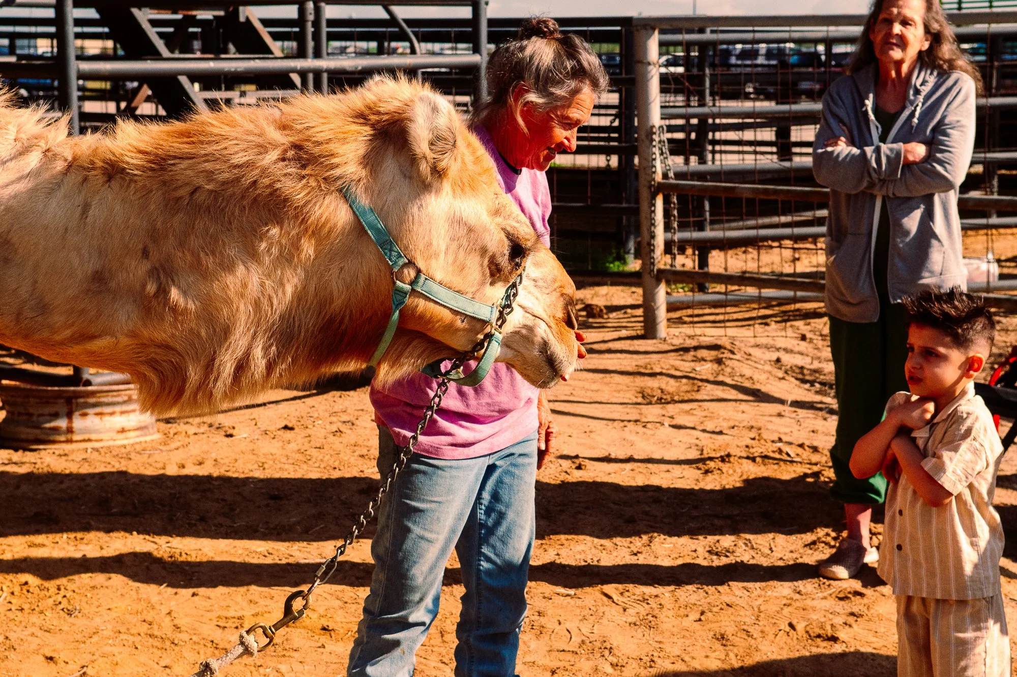 Eid Pasadena Rodeo 2026 -78.jpg