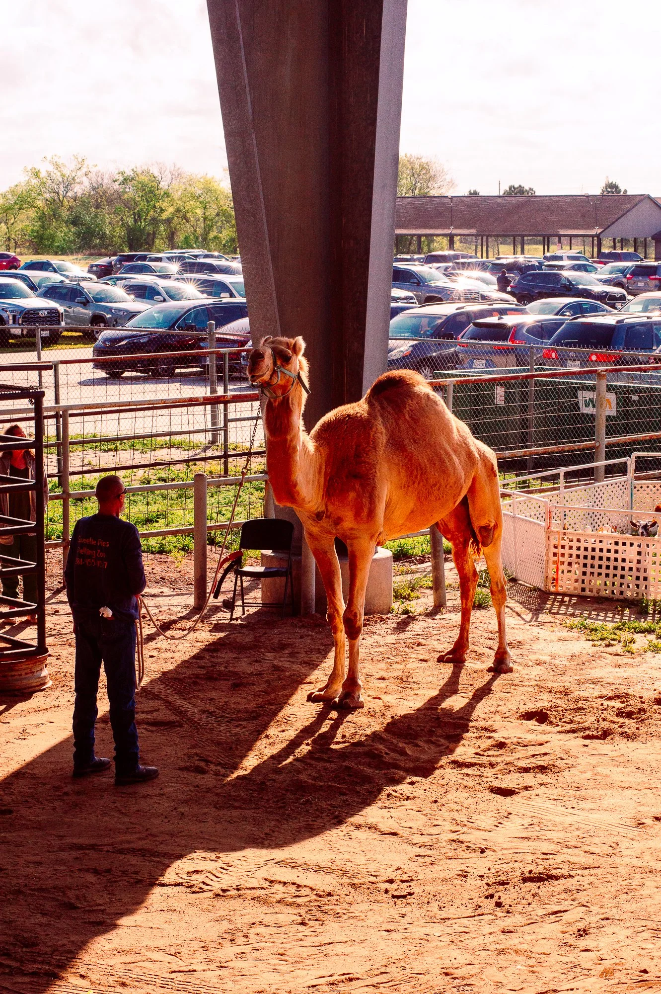 Eid Pasadena Rodeo 2026 -70.jpg