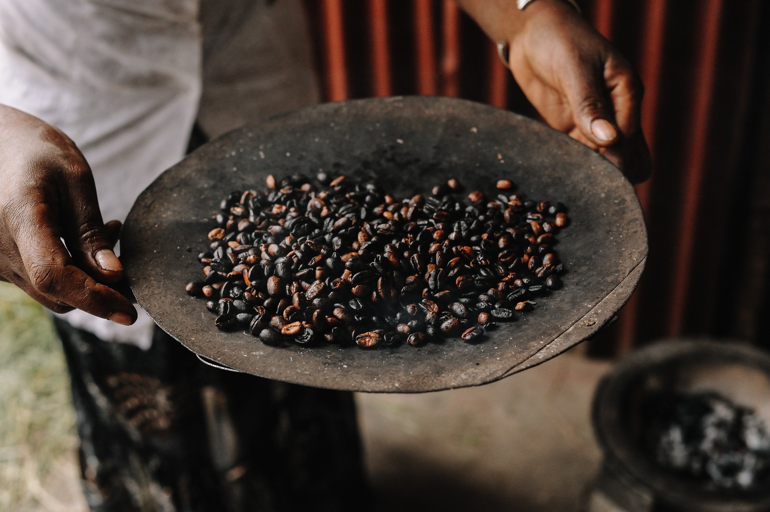 AdobeStock_280936820.jpeg