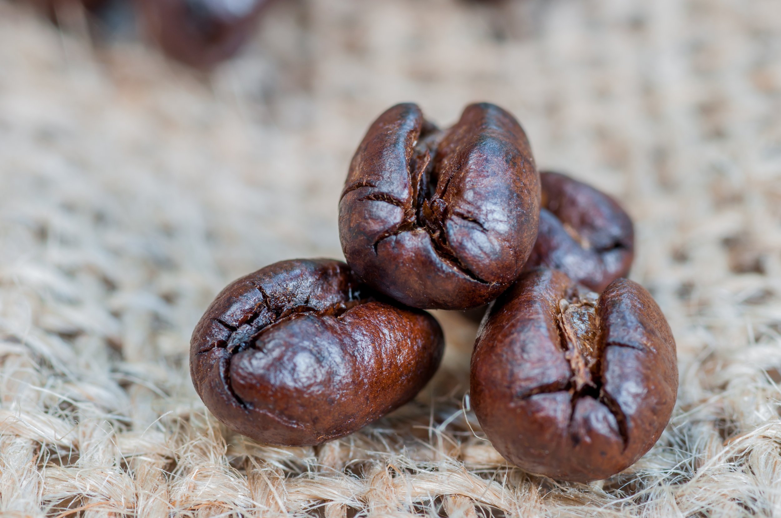 AdobeStock_302866352.jpeg