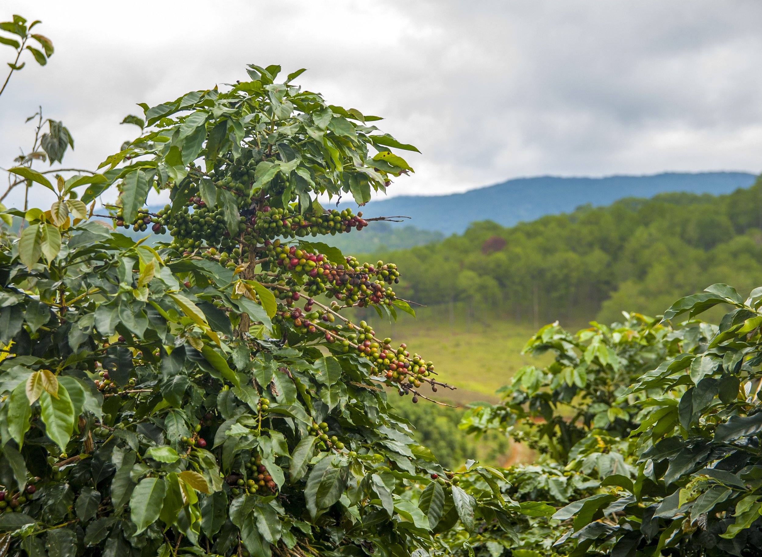 AdobeStock_134043279.jpeg