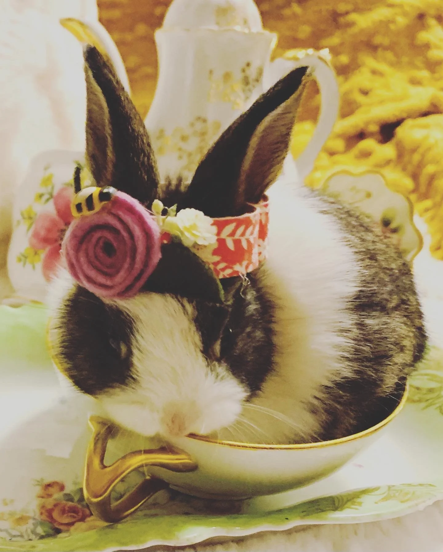 Family Easter Egg Hunt Friday, April 3 from 4-6pm