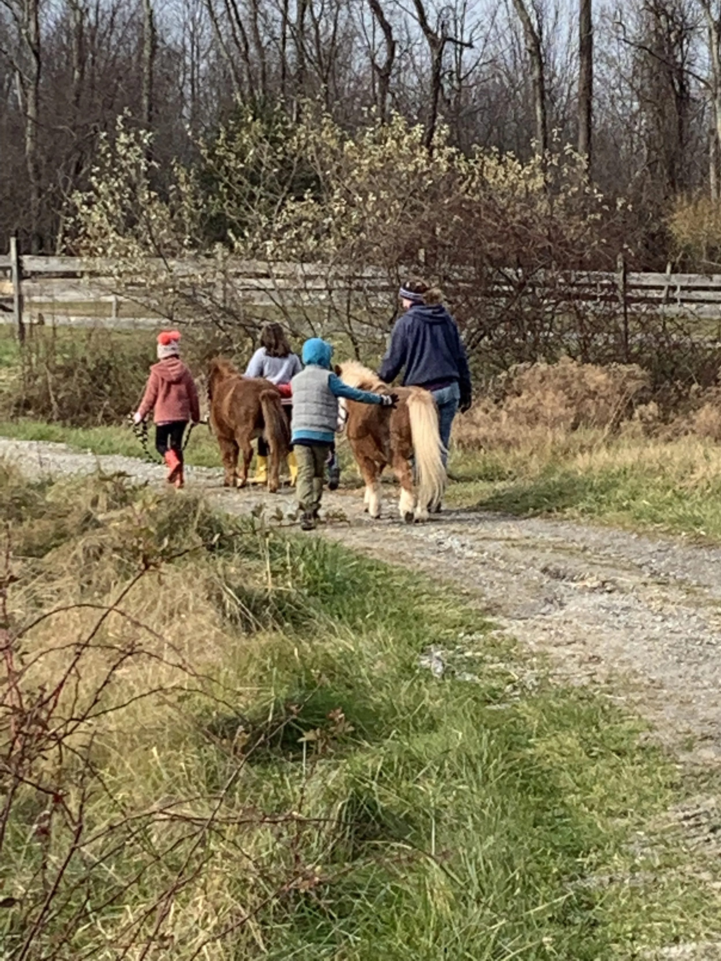 Fall walk with minis.jpg
