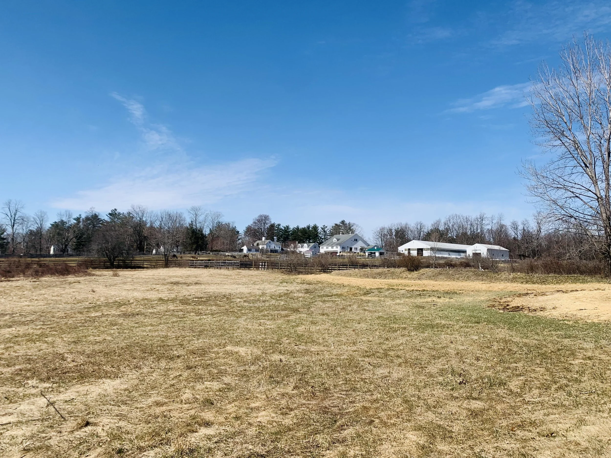 WEDNESDAYS:  Ponies in Spring! Early Spring Pony Love March 4-April 8  from 4-6pm