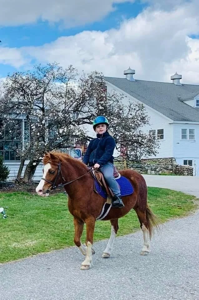 MONDAYS: Ponies in Spring! Early Springtime Pony Love March 9-April 13 from 4-6pm